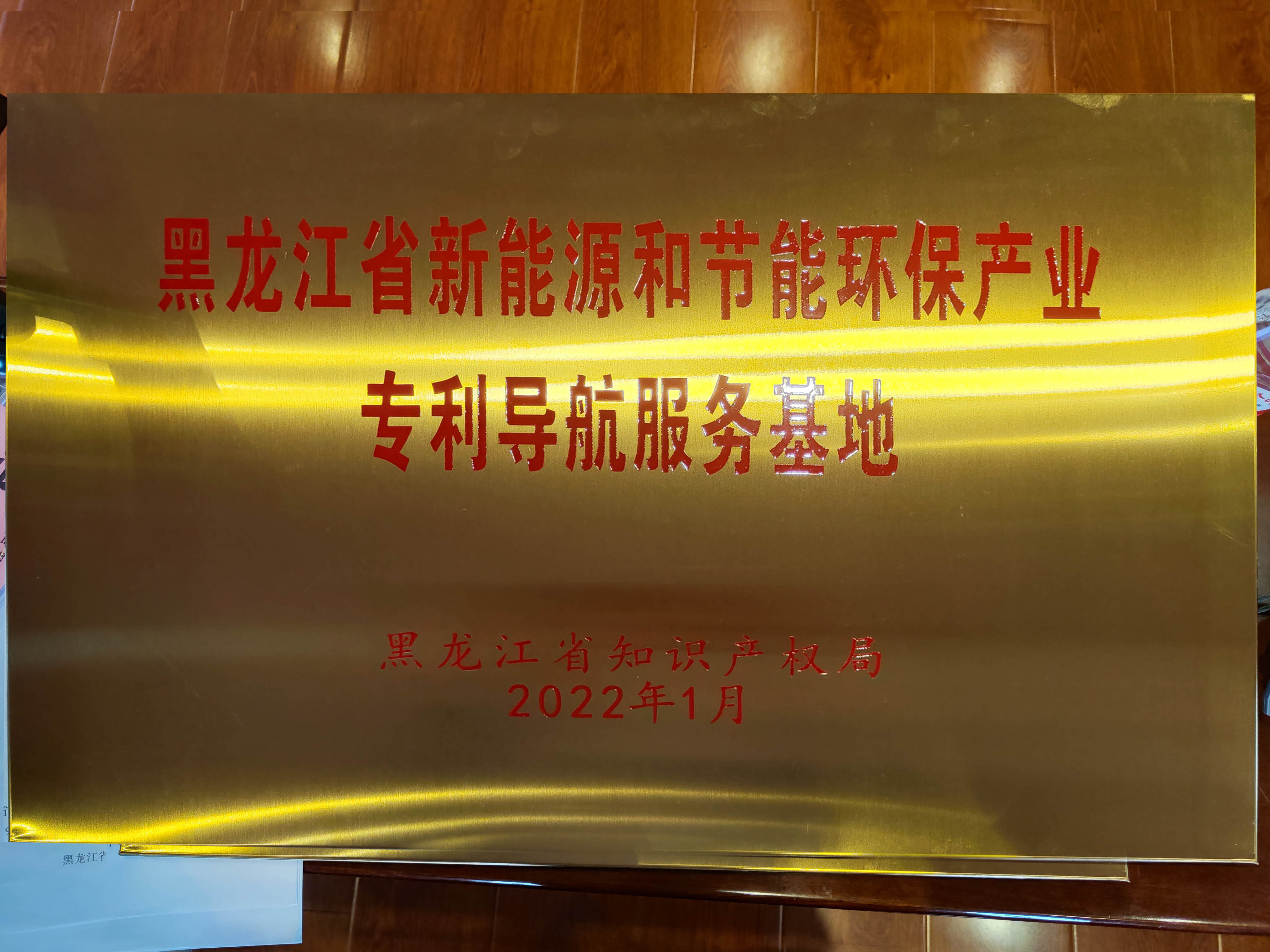 Longyuan Heilongjiang Province New Energy and Energy Saving and Environmental Protection Industry Patent Navigation Service Base Award