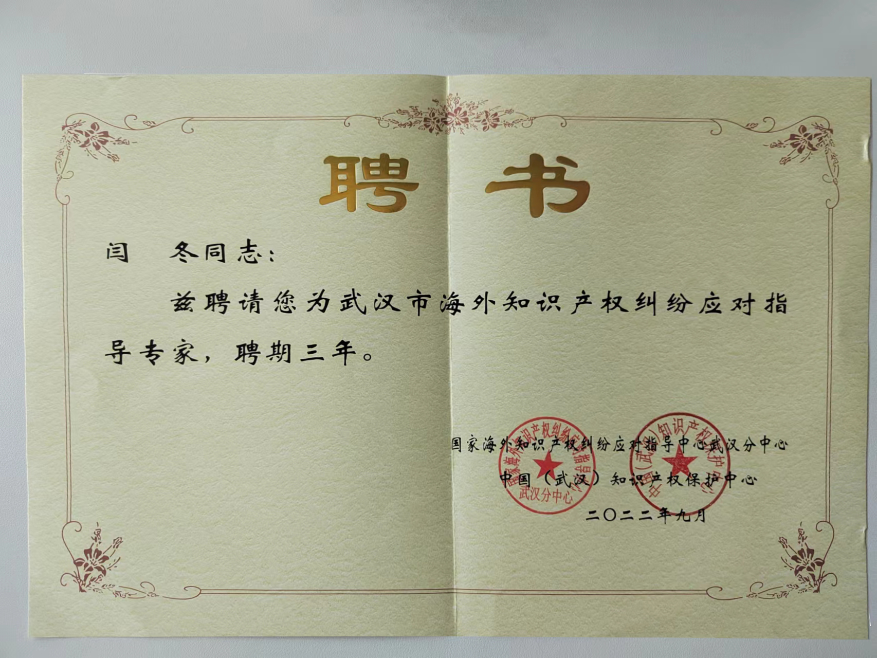 27 闫冬 武汉市海外知识产权纠纷应对指导专家.jpg